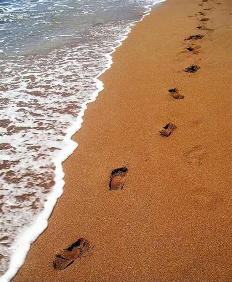 Footprints Word Will Save