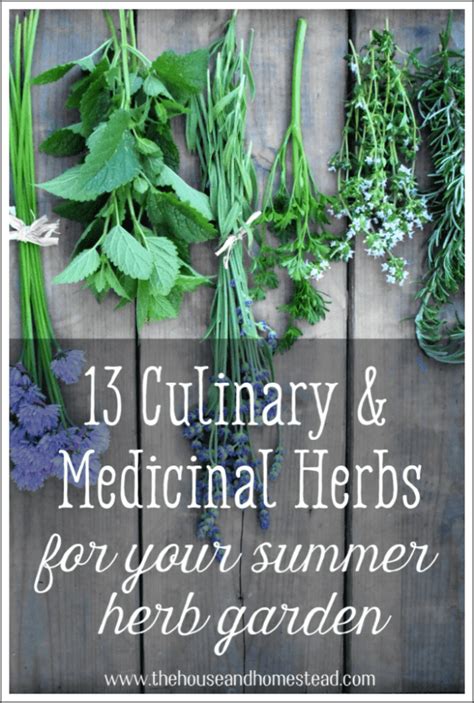 13 Culinary And Medicinal Herbs To Grow At Home The House And Homestead