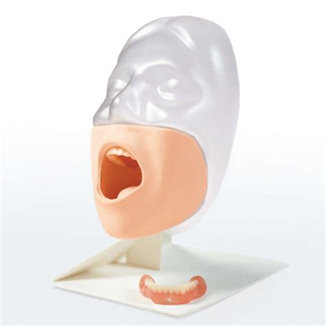Oral Care Simulator Kyoto Kagaku
