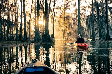 My Meditative Paddle Around Lake Martin A Cypress Swamp Travel