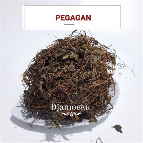 Jual Pegagan Kering 250 Gram Shopee Indonesia