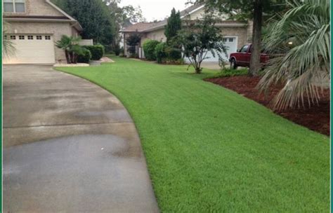 How often should i mow my lawn? Best Fertilizer For Bermuda Grass In Alabama | Cromalinsupport