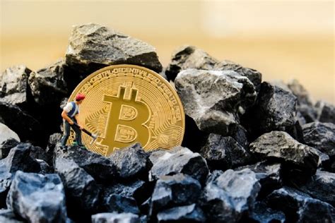 Leaving short speculators aside, investors long believe that bitcoin in the future will be the medium of universal exchange and the deposit of value that will replace dollar, euro, etc. The Ultimate Guide: How to Invest in Bitcoin Mining in 2021