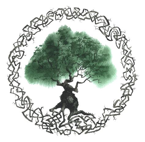 Celtic Tree Of Life Symbol Robert Jr Graham