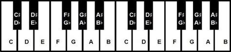 Each key of the piano can represent several notes. Are notes on the organ the same as notes on the piano? - Quora
