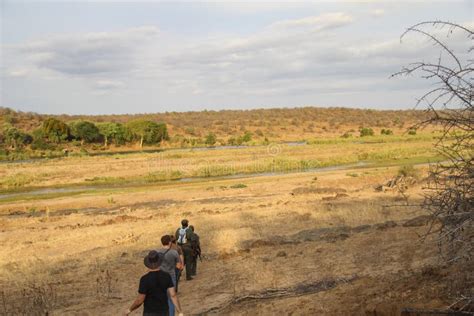 Kruger National Park South Africa Circa November 2017 Group Hiking
