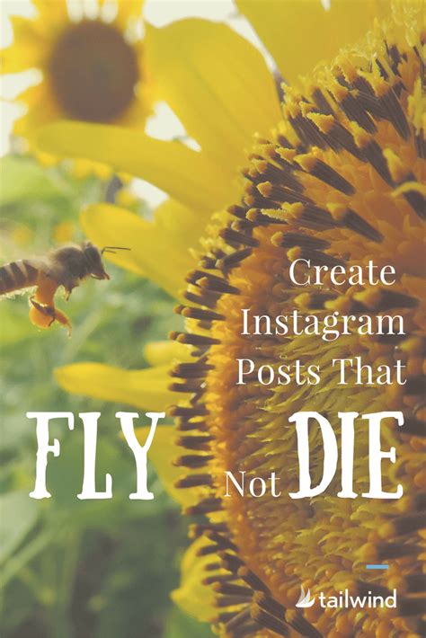 How To Get More Instagram Likes The Dos And Donts