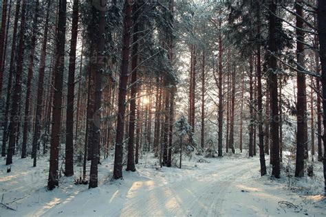 Paisaje De Invierno Escarchado En Bosque Nevado 743921 Foto De Stock En