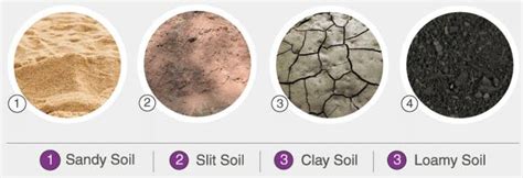 How Can We Differentiate Clay And Silt Apart From Its Sizes The