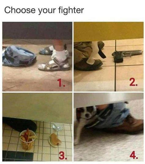 Choose Your Fighter Rfunny