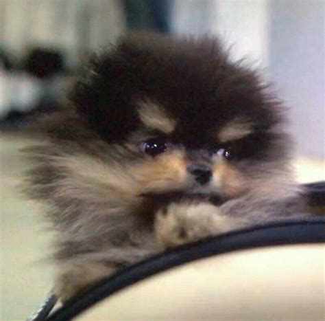 Yeontan Hermoso Taehyung Photoshoot Bts Taehyung Bts Jimin Namjoon