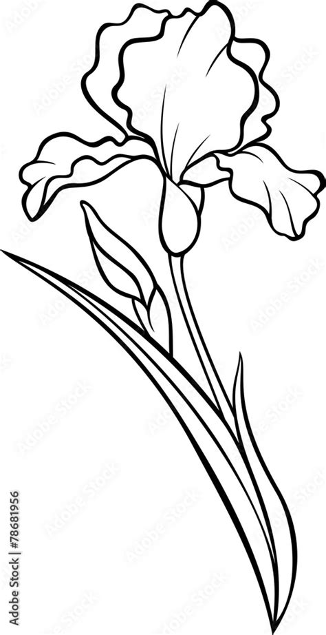 Iris Flower Silhouette Vector Tattoo Illustration Stock Vector Adobe