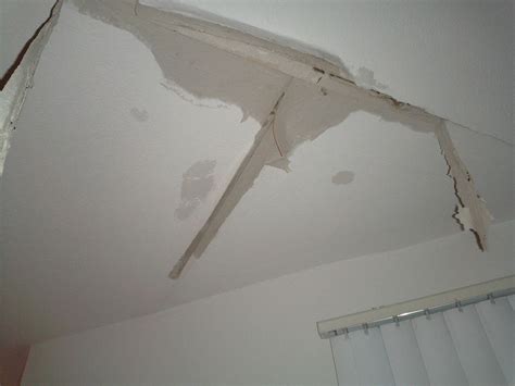 What do professionals use to kill mold? Roof is Leaking, Help! Will My Insurance Cover it? - Stellar Public Adjusting