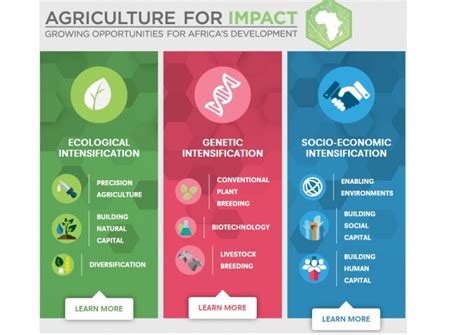 Agriculture For Impact For Inclusive Agricultural Development In