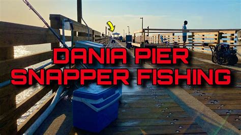 Dania Beach Pier Snapper Fishing Youtube
