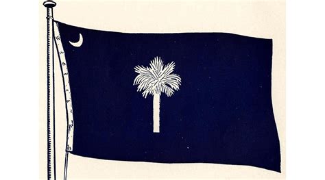 Committee Works To Standardize The Iconic South Carolina State Flag