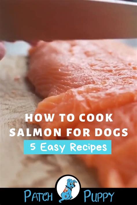 55 1 this will show you the supplies and my intro. How to Cook Salmon for Dogs - 5 Easy Recipes [Video ...