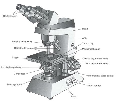 Electron Microscope Labelled Diagram