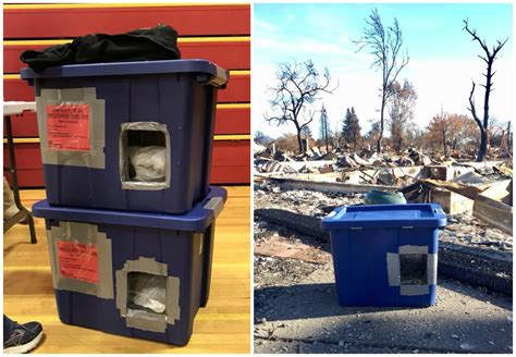 Sonoma County Volunteers Build Winter Shelters For Cats Affected By