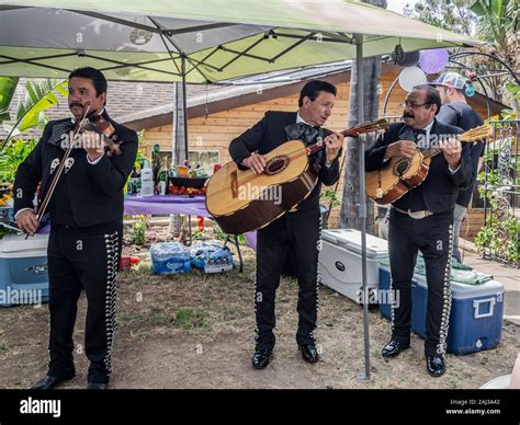 Mexican Mariachi Band Playing Happy Iconic Traditional Music At