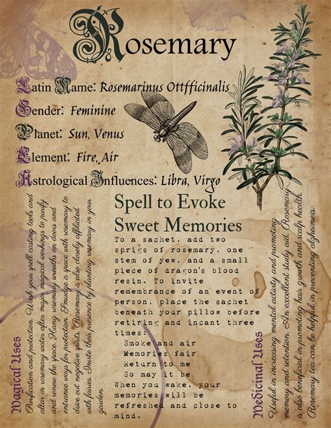 Rosemary Magick Herb Witchcraft Printable Book Of Shadows Prints Art