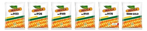 Dekalb Corn Hybrid Seeds Crop Science India
