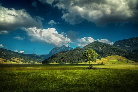 Switzerland Scenery Mountains Sky Forests Clouds Grass Wallpaper