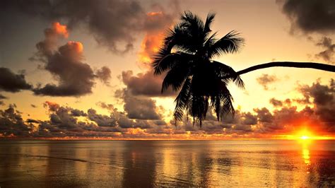 Gallianmachi Hawaii Golden Sunset Wallpaper