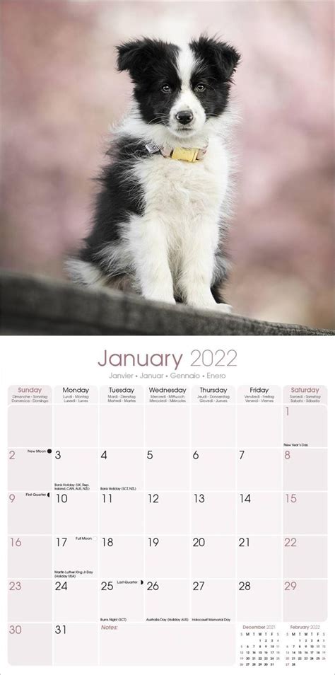 Border Collie Calendar Dog Breed Calendars Pet Prints Inc