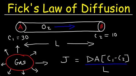 Ficks Law Of Diffusion Concentration Gradient Physics Problems Youtube