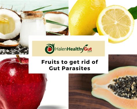 Parasite Cleanse Diet For Humans 21 Best Natural Remedies