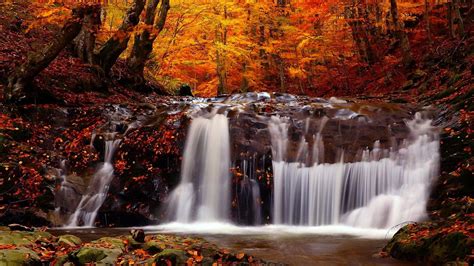 Nature Landscape Fall River Trees Waterfall Wallpapers Hd Desktop And Mobile Backgrounds