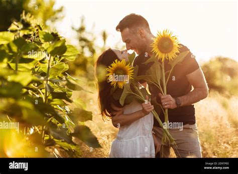 Beautiful Couple Is Kissing In Sunflowers Field At Sunset A Man And A Woman In Love Walk In A