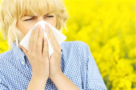 Can Seasonal Allergies Cause Itchy Skin Blissy