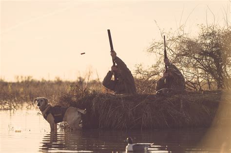 Waterfowl At Honey Brake — Tony Bynum Photography