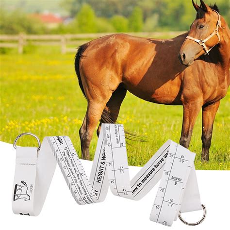 Horse Ruler Clear Print Durable Easy To Use Wear Resistant 25 Meter