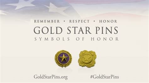Gold Star Pins What Are They For And What Do They Mean