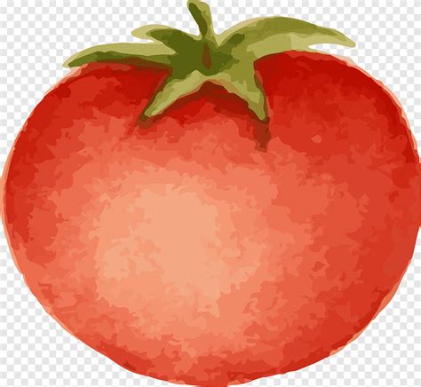 Descarga Gratis Animación De Dibujos Animados De Tomate Tomate