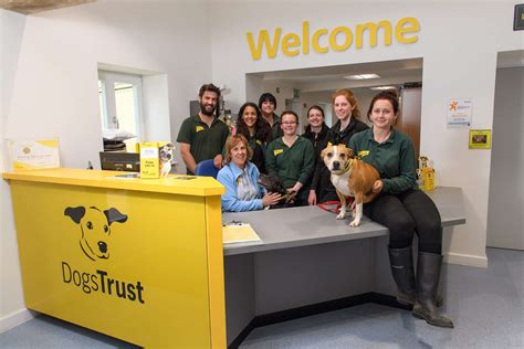 Volunteers Week At Dogs Trust