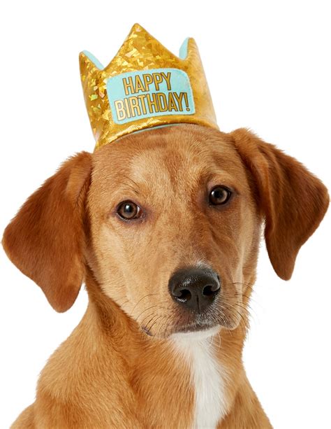 All of our meals are made with the finest human quality ingredients, no artificial ingredients or preservatives. FRISCO Happy Birthday Dog & Cat Crown, X-Small/Small ...