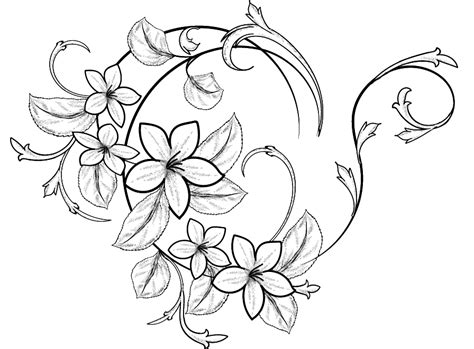 flowers drawing decorative flower drawing flower art task to do borders for paper flower