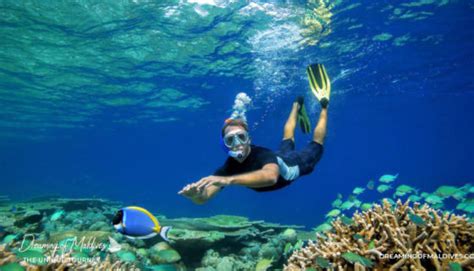 Where Is The Best Snorkeling In Maldives The Best Resorts Weve Seen