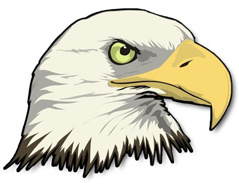 Cartoon Bald Eagle Clipart Clipartix