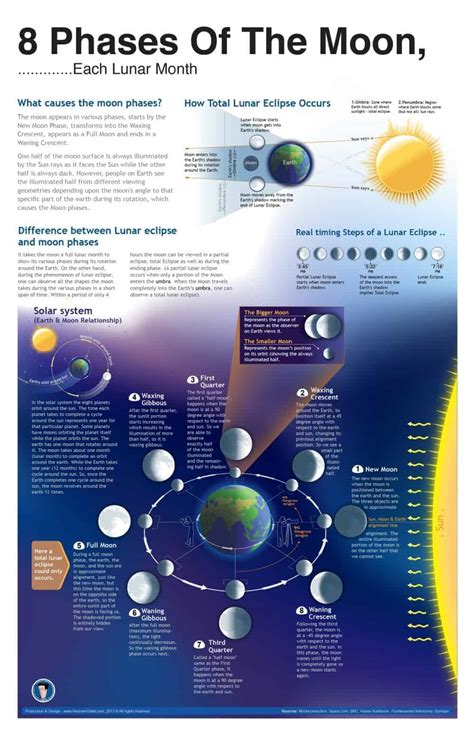 The 8 Phases Of The Moon Daily Infographic