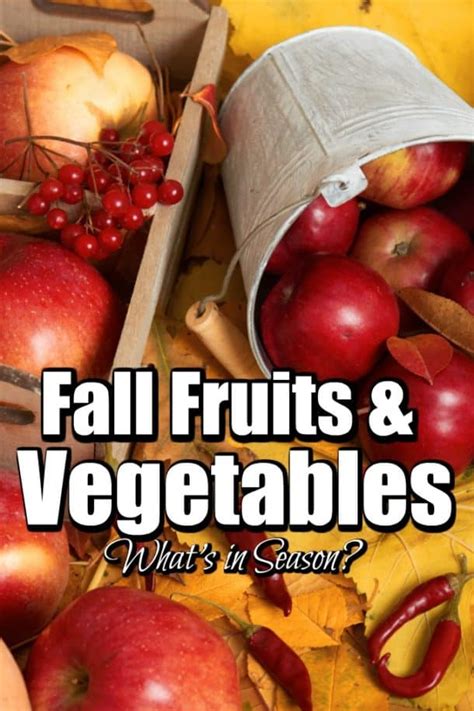 Fall Fruits And Vegetables Whats In Season Noshing With The Nolands