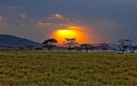 Hd Wallpaper Savannah Sunrise Africa Kenya Sunset Nature And
