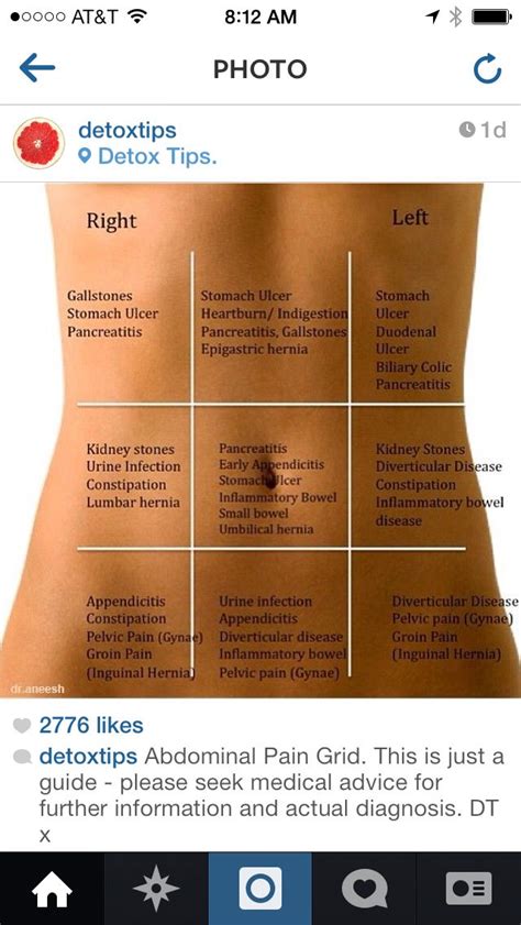 Best 25 Stomach Pain Chart Ideas Only On Pinterest Abdominal Pain