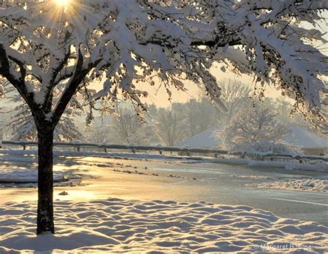 Snow Day Beautiful Winter Scenes Pinterest