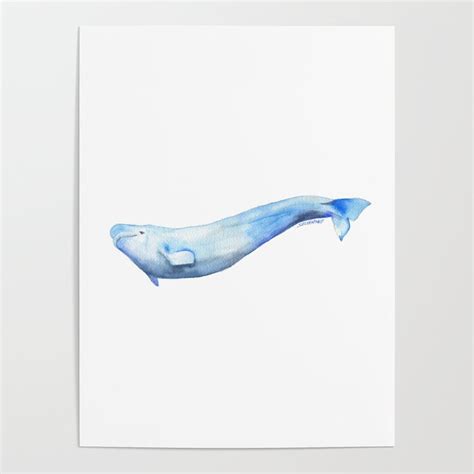 Beluga Whale Watercolor Poster By Susan Windsor Society6
