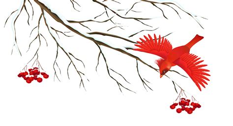 Winter Snowy Branch With Bird Png Clipart Image Gallery Yopriceville